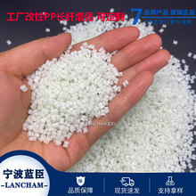 PP���w 15%-30% ȫ���ϭh�� �����۱�ϩ���� ���w�w�����ԏS