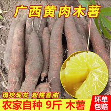 ���r�F�ڏV�����r�S���S��ľ����Ŵ������S��ľ����ˮľ�������]