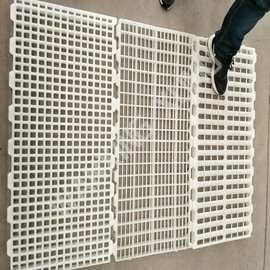 成鸭塑胶地板 漏粪地板图片 畜禽漏粪地板 塑料泄粪板 万兴畜牧