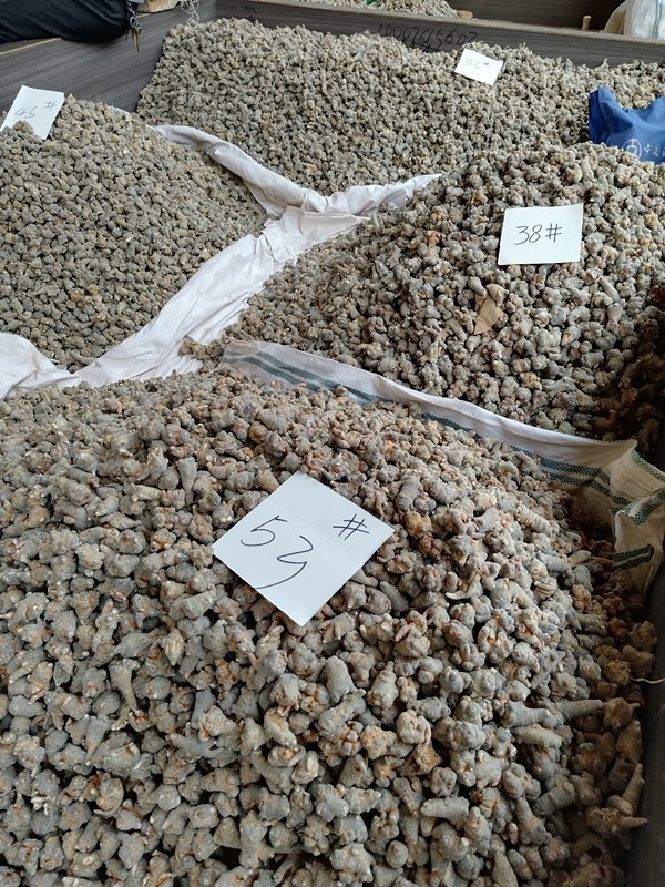 微信图片_20230219202605_副本