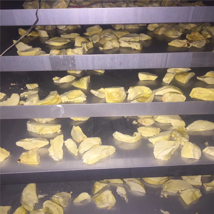 三文鱼真空冻干机  金银花真空冻干机  辽宁馄饨低温干燥机