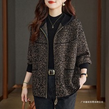 ���������¿���������������2025����ᘿ��_���p���ﶬ��ɫ����ɫ