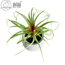 ��؈����՚��ֲë����ֲ�����ϻ����k�����b՚��P��ٻ�����