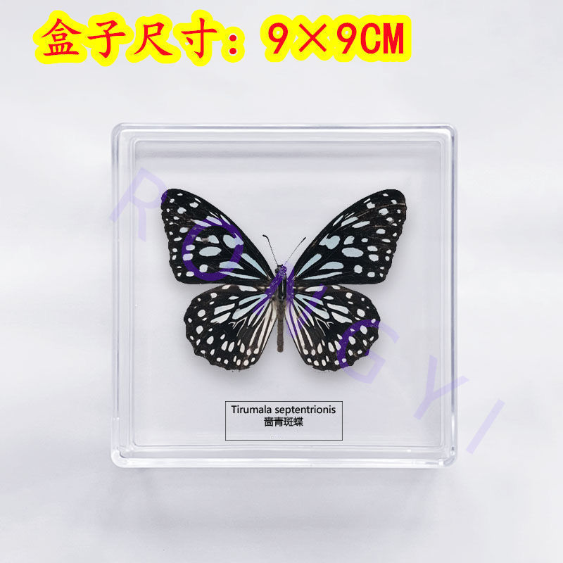 7cef5550-232a-47a0-b9f3-bd25938e8944.jpe