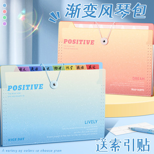 A4 multi-layer large capacity folder test paper bag primary school student special subject classification portable file material organ bag