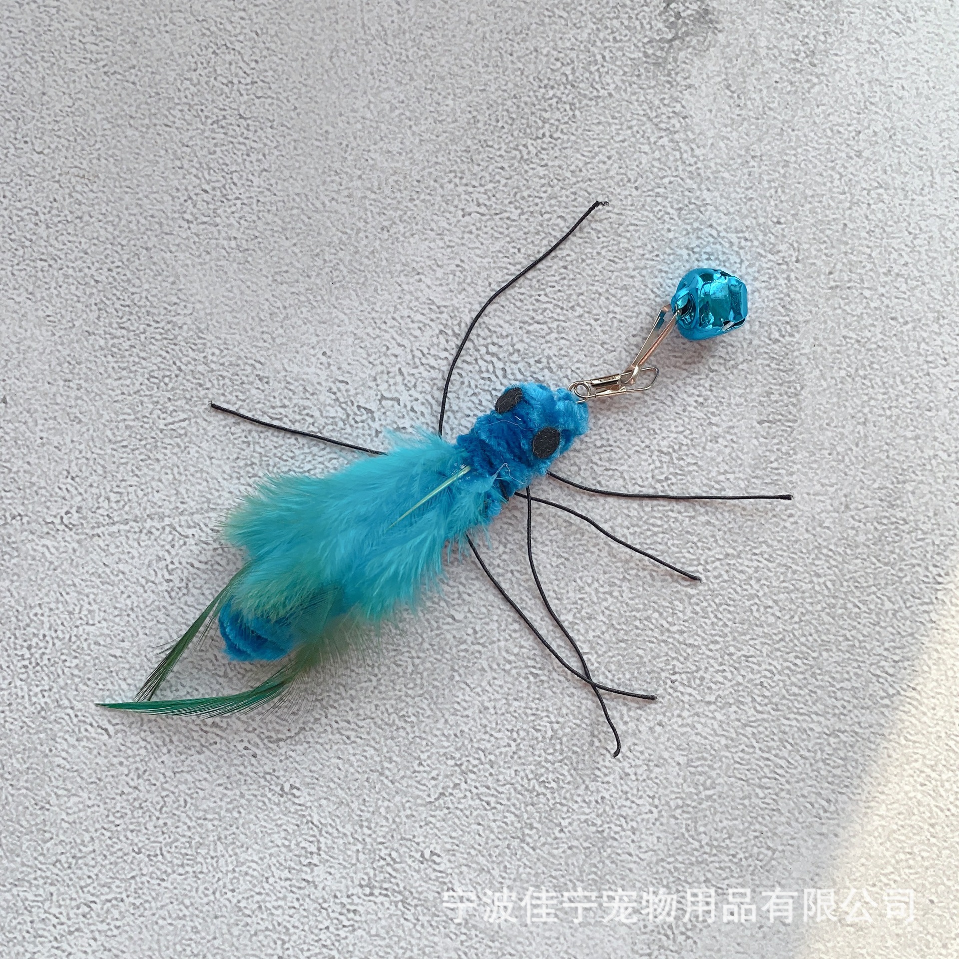 IMG_5788(20221209-035257)