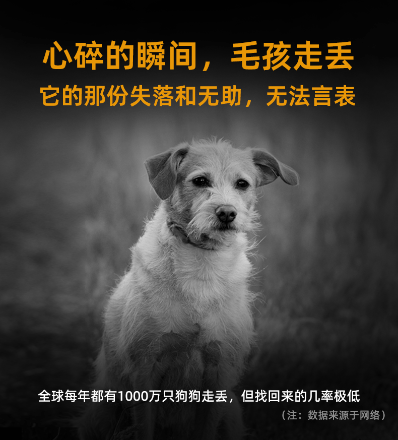 宠物定位器_01.gif