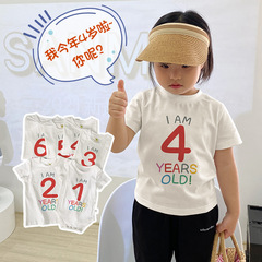Birthday number short-sleeved T-shirt children's pure cotton summer clothes brother and sister boys girls baby children's clothing one-year-old round neck tops
