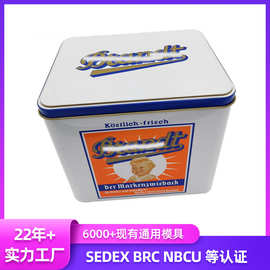 连体翻盖收纳铁盒 马口铁通用包装铁盒 长方形大翻盖铁盒