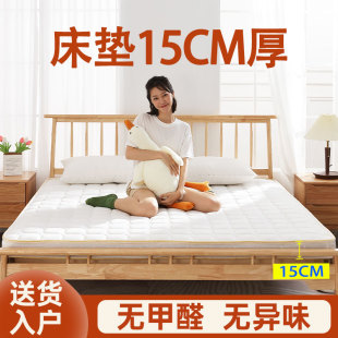 Mattress 15cm Thick Brown Mattress, Hard Waist Protection Hard Mattress, Coconut Palm Latex Household Mattress, Thin Foldableable