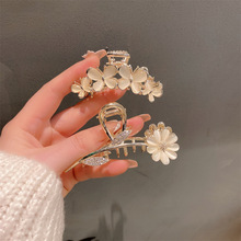 �¿��r�ջ������~ץ�A�����n����ﻨ�ܰl���l�A������lβ�A