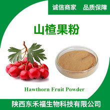 山楂果粉 Hawthorn Fruit Powder 山楂果提取物固体饮料1kg东禾福