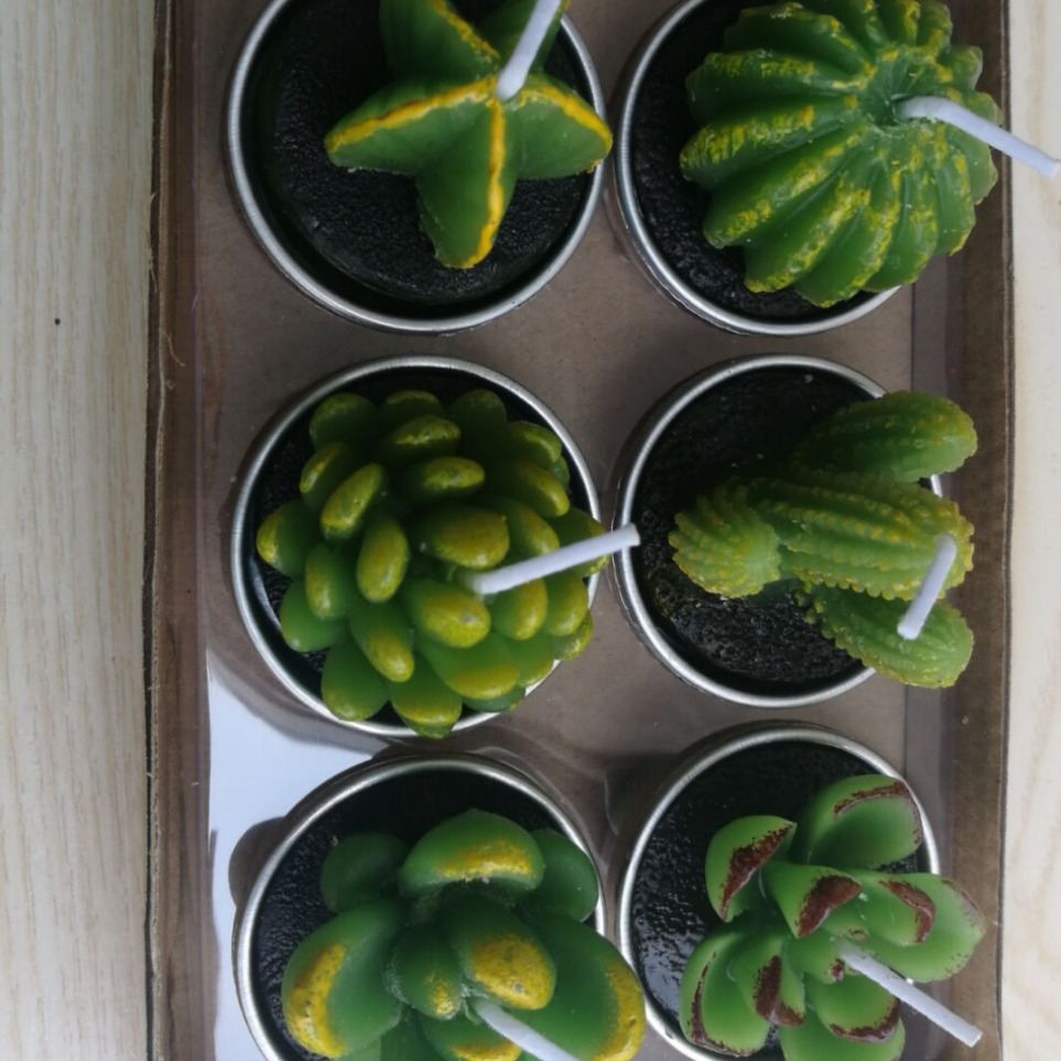 Nueva iluminación en caja vela simulación cactus flor vela planta suculenta vela Día de San Valentín té cera