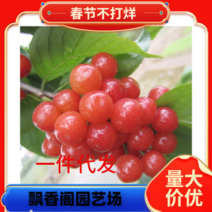 ������� �R������� ����Ҙ��� �޽ә����� ܇���Ә����ϱ����N