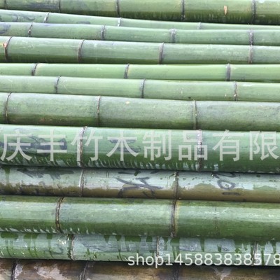 产地批发5年生长期施工打桩搭架围栏种养殖搭棚毛竹楠竹大竹竿|ru