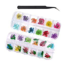 美甲装饰干花 立体 雪珠花 指甲饰品五瓣花 水晶甲 36朵