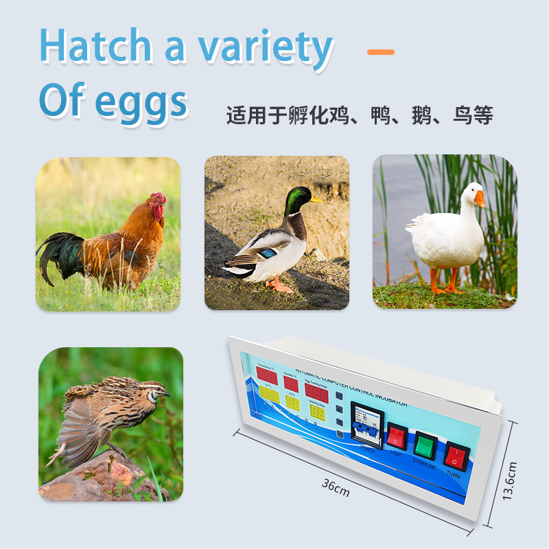 Incubadora industrial controlador de XM-18G pollo y pato automático torneado huevo control inteligente control de temperatura controlador de temperatura húmeda entrega de una sola pieza