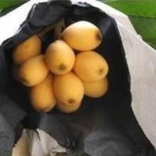 ���������״����ٹ��伈�׷��m���˴��Ӽ�������ˮ�����]ʯ��