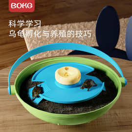 BOKG乌龟蛋可孵化小宠物草龟巴西龟活物孵化器箱缸儿童DIY套装盒