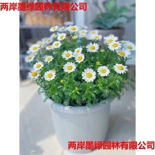 NСrշNױ׻̨ͥԺļ̫ꖻտ