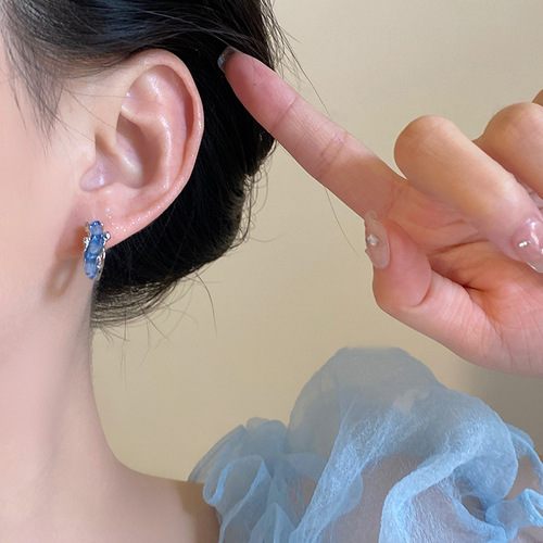 Light luxury niche blue crystal earrings earrings for women ins trendy Korean fresh and versatile earrings earrings
