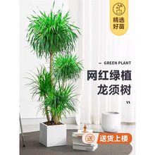 �W�t��횘�������Ѫ���k���ҿ͏d���;Gֲ�p���҃�ֲ����^���F��