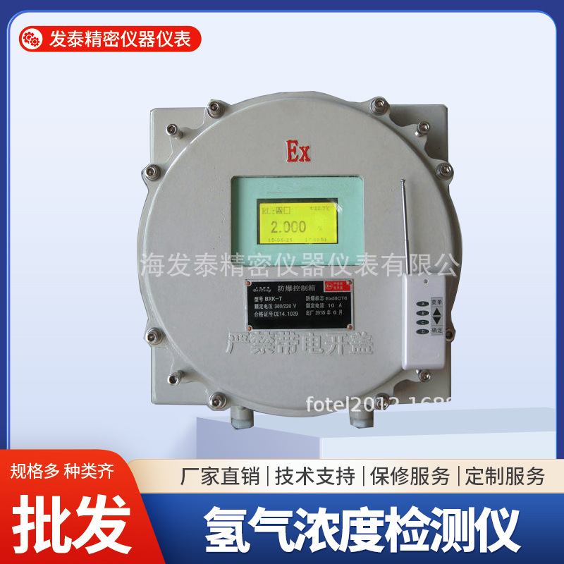 FT-100Ex-O2型防爆式氧量分析仪 精密氧气在线记录测试仪现货批发