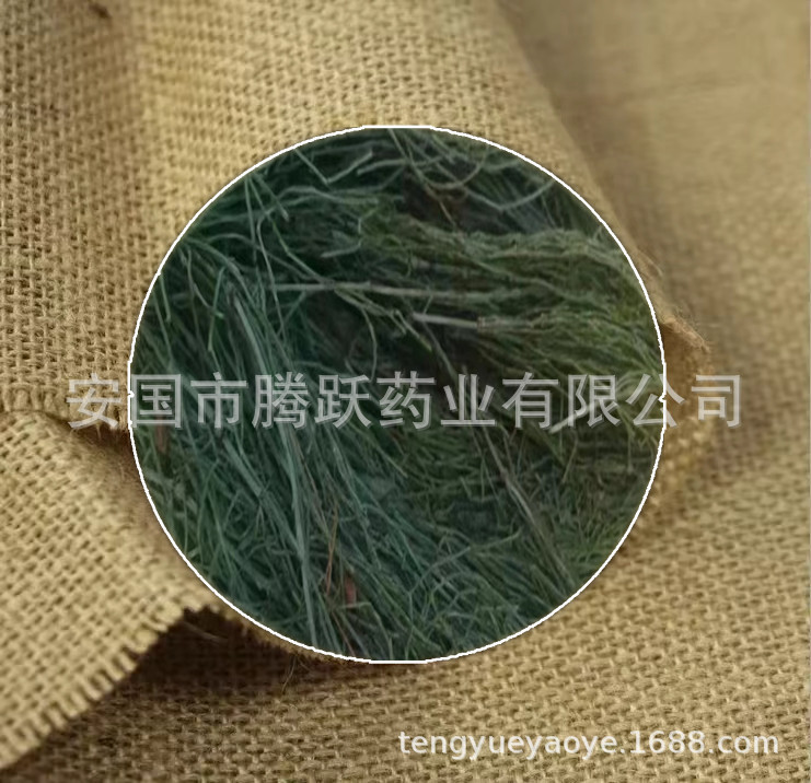 Dried Horsetail Herb Wen Jing 问荆 Whole Plant Bulk Chinese Botanical Tea Herb specifications