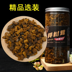 卸売り長白山樺褐孔菌樺樹茸黒精顆粒樺樹涙桑黄金500g入り
