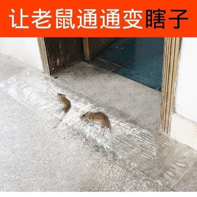 マウスステッカー、粘着マウスボード、強力なネズミキラーマジックカーペット、ネズミ捕り、大きなネズミボード、ネズミ捕り、ネズミよけ、家庭用ワンネストエンド|undefined