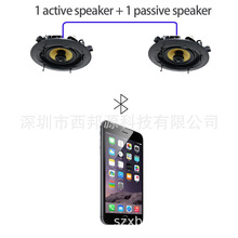 5.25��30W*2�o���{����픓P����BGAm�Ŵ���