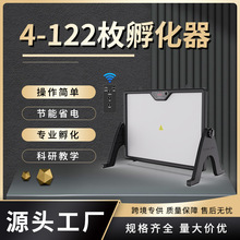 小型鸡蛋孵化器芦丁鸡孵蛋器 鸽子小鸡孵化机自动孵化养殖设备