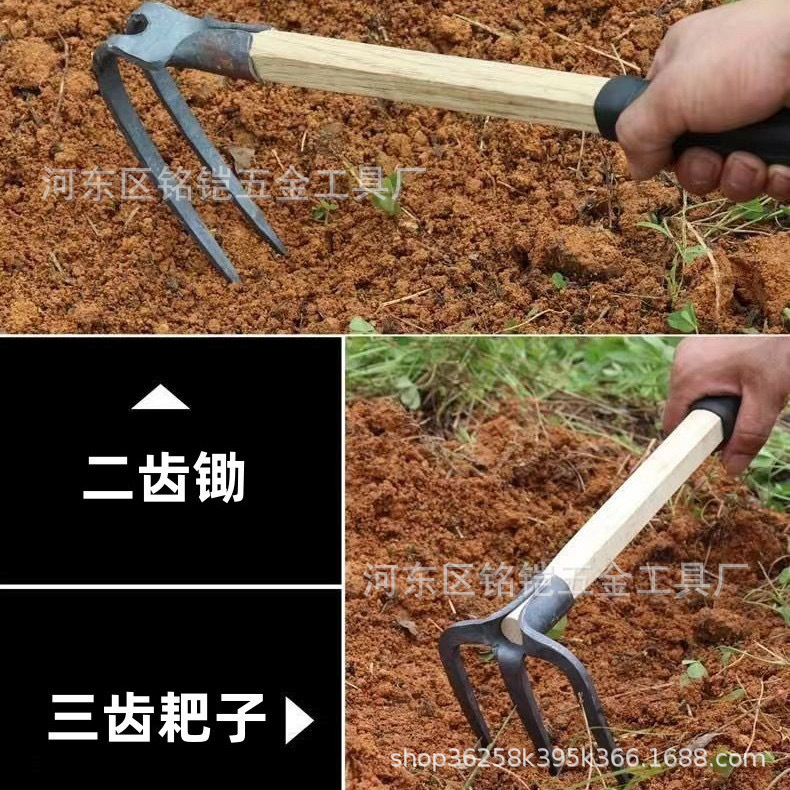 微信图片_20240120001723