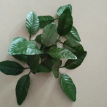 2̖�Gɫ�z�����Udiyõ�廨�ֹ��������ϻ�֦���F�z���л��~�z�W��