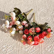 5���F��С�軨��SH21�ٻ����������Gֲ�Ҿ��b[�ŷ������l