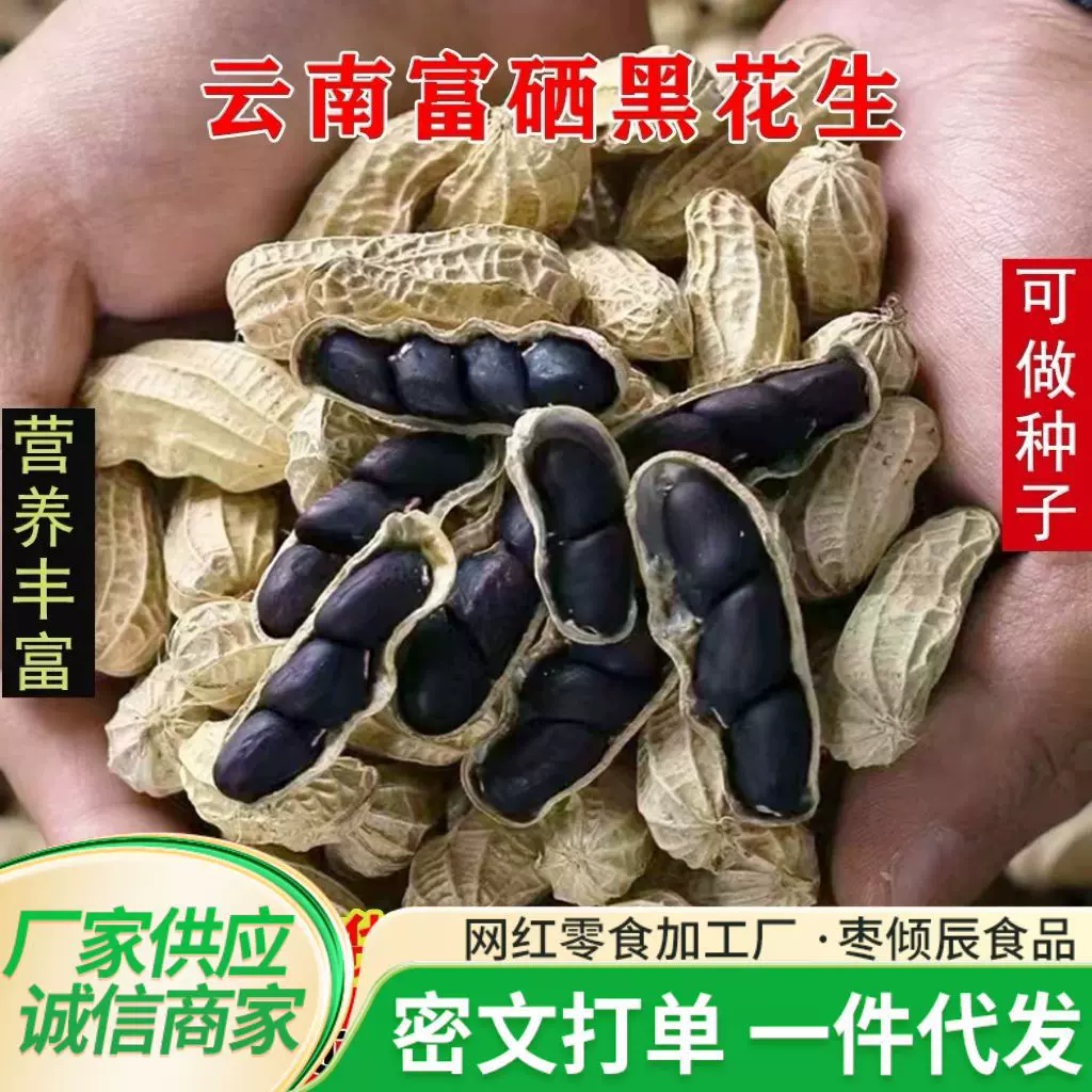 25年原味富硒黑花生带壳小粒黑花生味甜黑皮健康零食500g云南特产