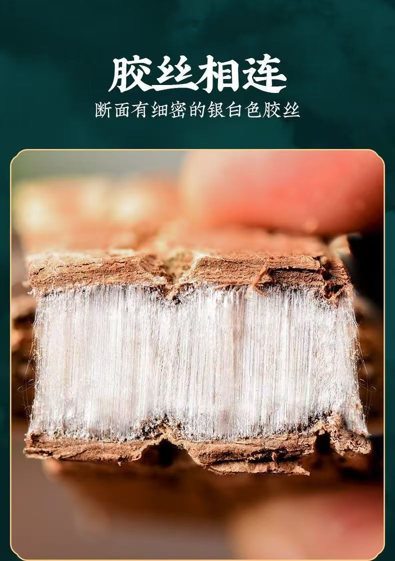 Dried Eucommia Bark Du Zhong 500g Sichuan Sulfur-Free Whole Bark for Decoction and Tea specifications