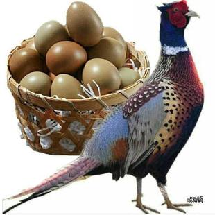 60ö�����߲ʾG��ɽ�u�����u������b���rɢ�B���u��