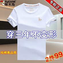 ��ľ�B����t����ʿ���|�A�I�ļ���ɫ���ƴ̽������w�����������bT