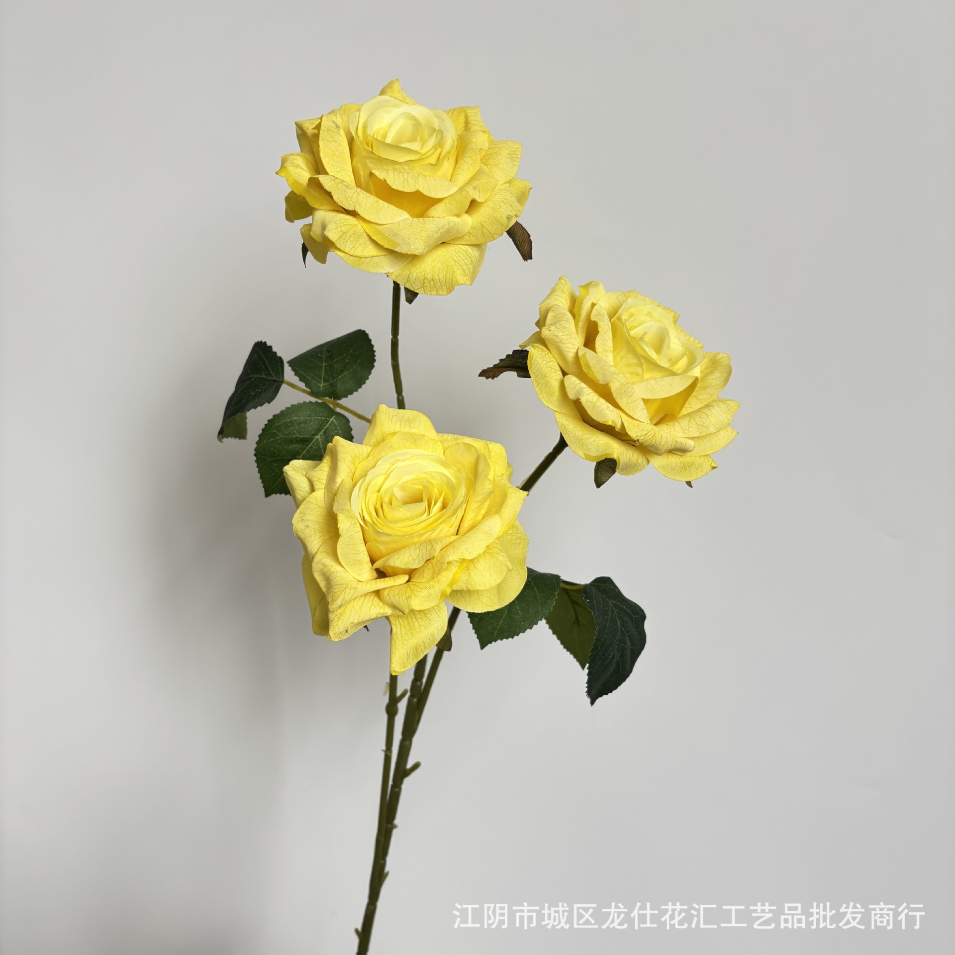 리치 로즈