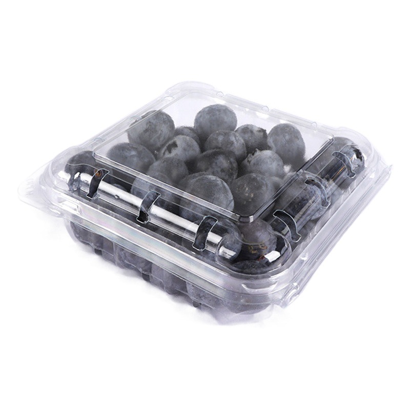 125g caja de arándano jiawoyi caja de arándano transparente desechable frambuesa mora crujiente embalaje de fruta para mascotas