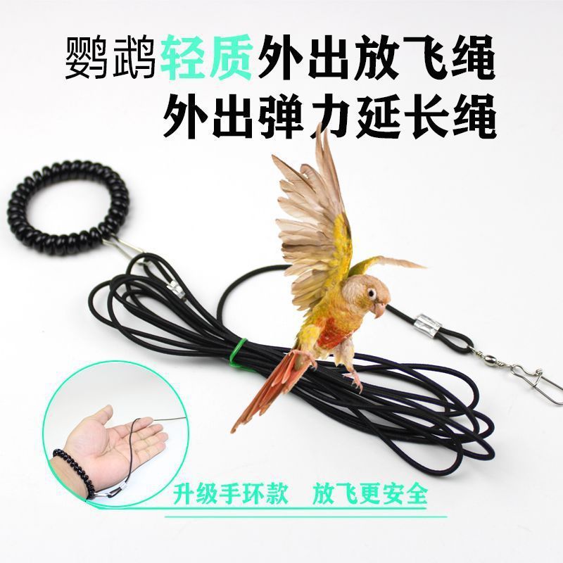 オウムの放鳥ロープ、鳥のペット用超軽量牽引延長ロープ、虎皮牡丹、黒鳳、小太陽僧侶の鳥の散歩ロープ|undefined