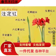 Ϟ����피t�M���ذ�N�򰢸���Ϟ�����Ԏ�����ע���t�Y���b������