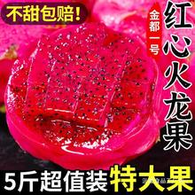 海南金都一号红心火龙果5斤整箱大果新鲜当季红肉密宝水果包邮