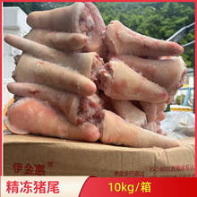新日期新鲜冷冻猪尾巴整箱20斤猪短尾生猪尾饭店卤菜酒店商用食材