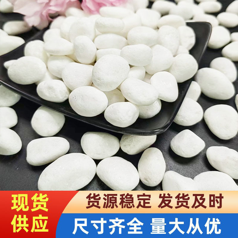 Pebbles White Stone Gravel Courtyard Paving Decorative White Stone Dry Landscape Landscaping White Gravel White Stone Pebbles White Stone Gravel Courtyard Paving Decorative White Stone Dry Landscape Landscaping White Gravel White Stone