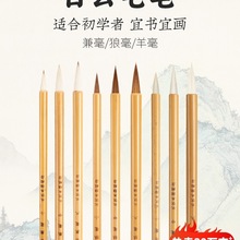 ����ë�P�Ǻ���������п�С������W�������������W�߾���