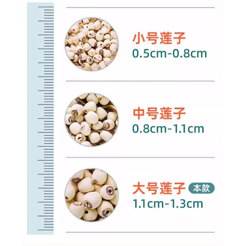 Оптовая продажа Leqin Xianglian оригинальный цвет без серы крупные чистые без примесей специальные лотосовые семена можно отправить одной связкой LL