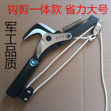 �M��䓲�������3݆��֦���^��ʡ���߿ռ����߿���֦�� ��֦�����]