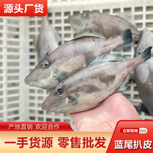 �{β���Ƥ�~���r�ك��������e���ʳ�ĸ�Ʒ�|�ă��~�R���~���l